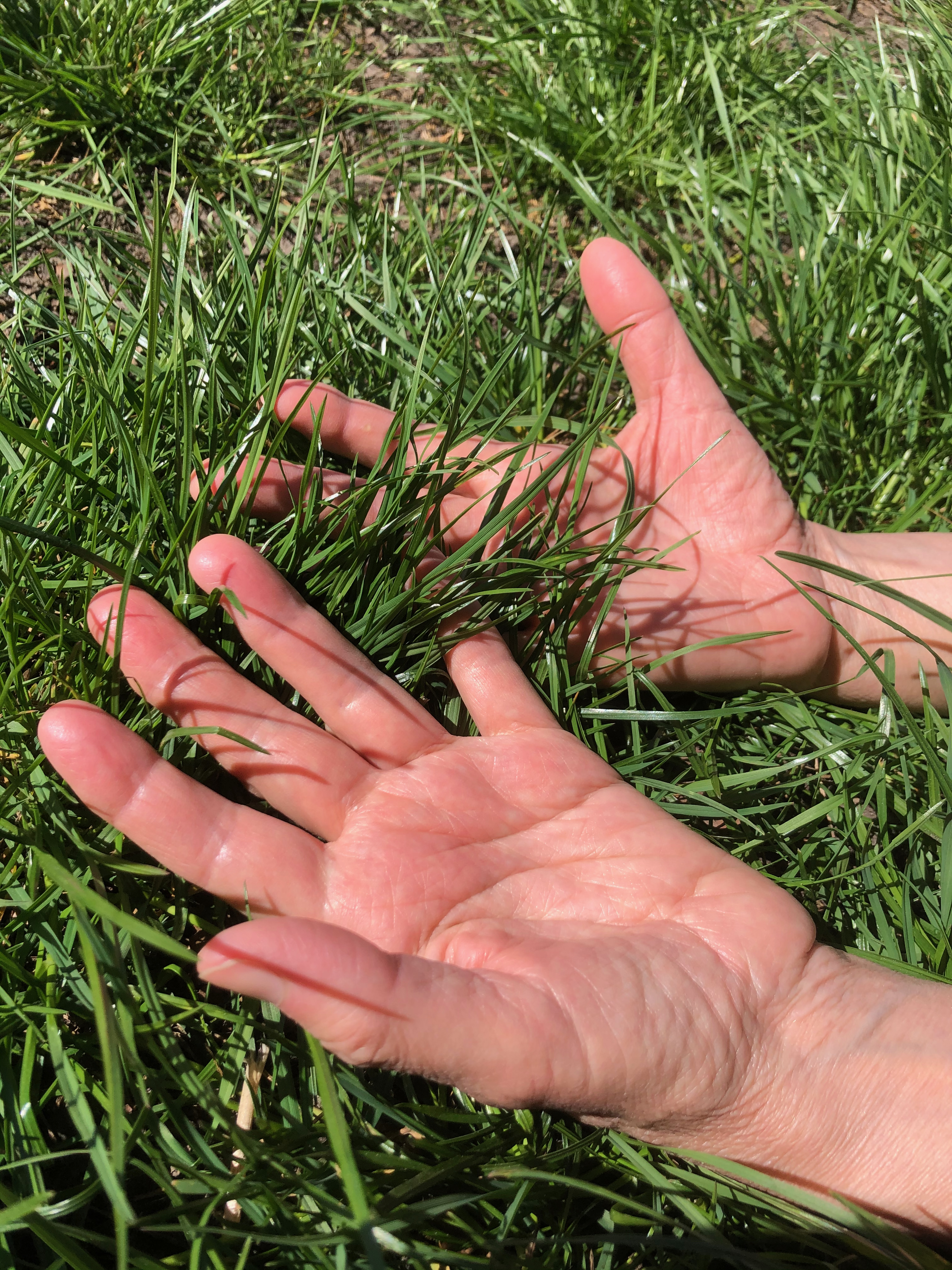 Dit is een zeer gedreven partner